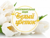 Благотворительная ярмарка "Белый цветок"